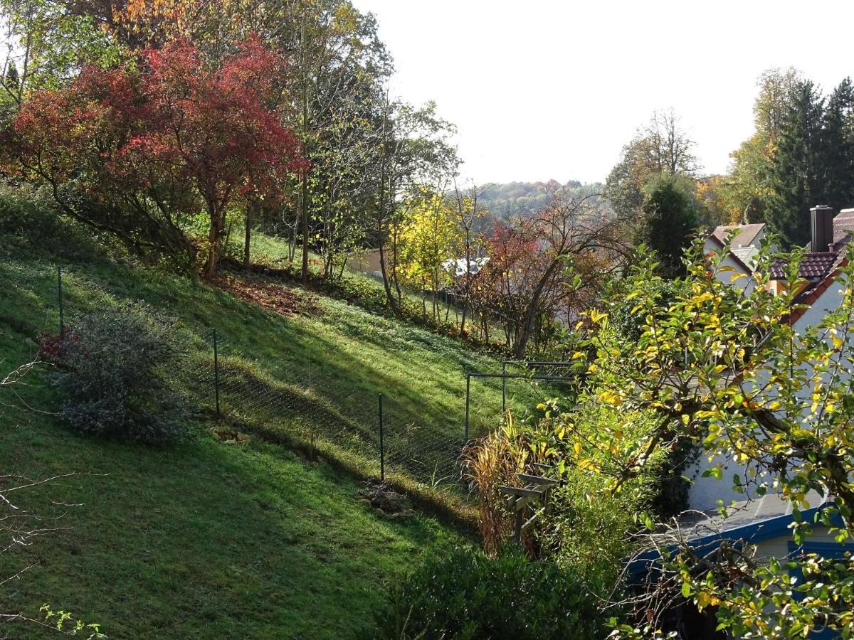 Ferienwohnung Beim Burgberg 巴特阿巴赫 外观 照片